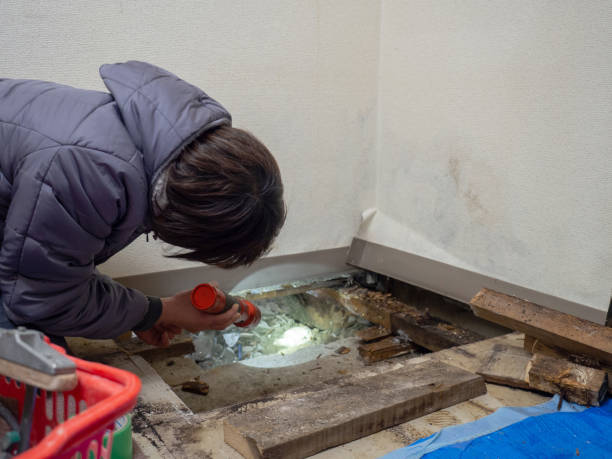 Mold Documentation for Insurance Claims in Bonners Ferry, ID