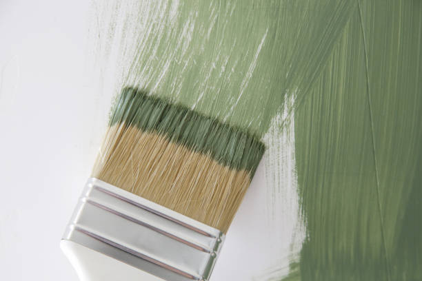 Best Attic Mold Removal  in Bonners Ferry, ID