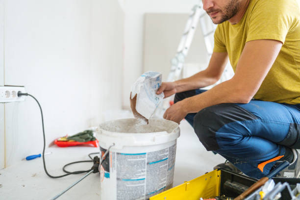 Best Black Mold Removal  in Bonners Ferry, ID