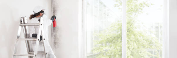 Best Emergency Mold Remediation  in Bonners Ferry, ID