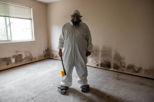 Best HVAC Mold Inspection and Cleaning  in Bonners Ferry, ID