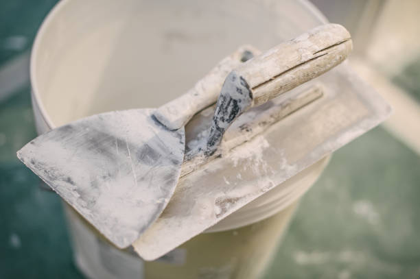 Best Crawl Space Mold Remediation  in Bonners Ferry, ID