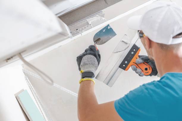 Best Airborne Mold Testing  in Bonners Ferry, ID